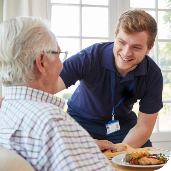 professional home care for the elderly